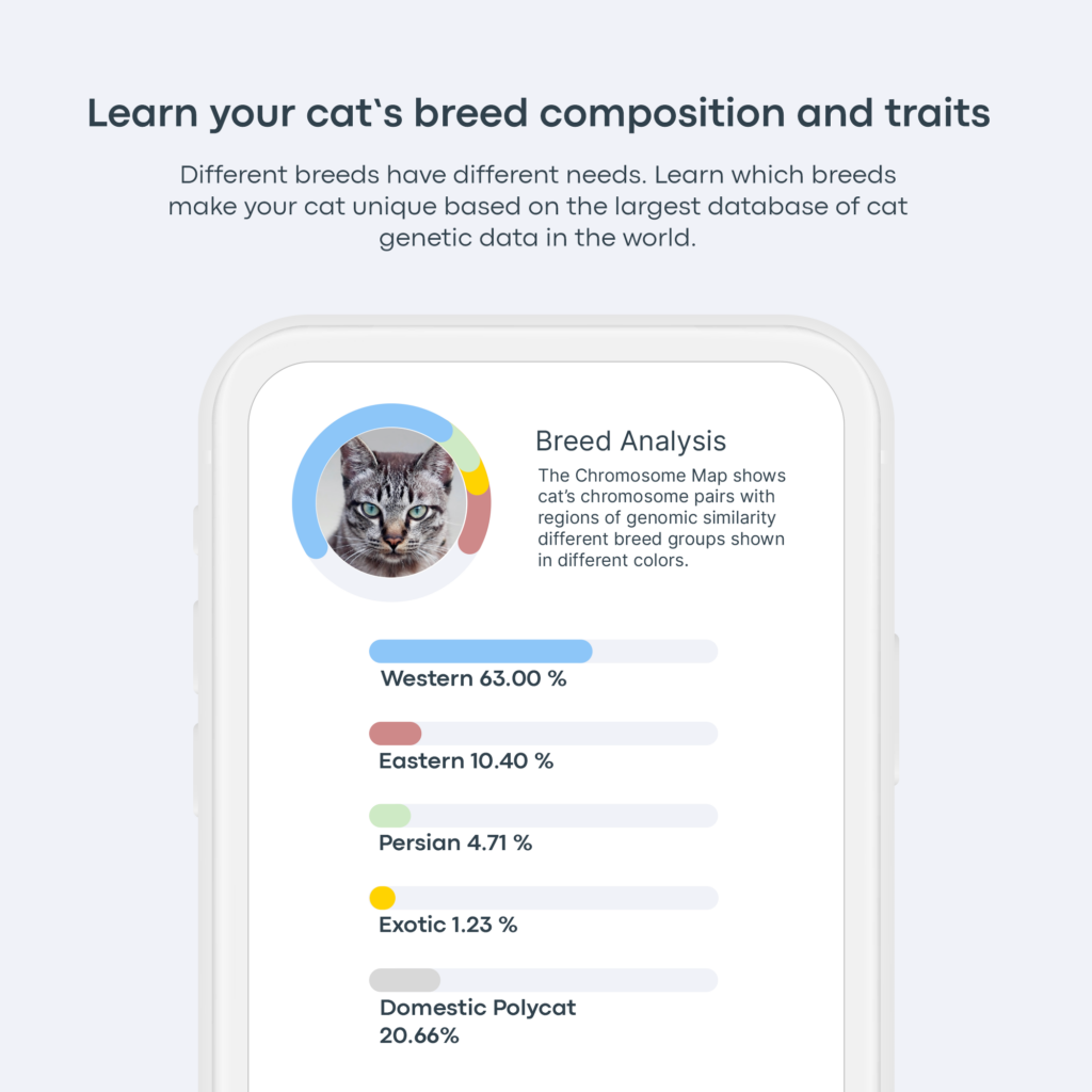 Oral Health Test for Cats